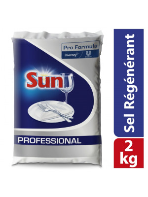 100848994 Sun PF.Dishwash Salt 6x2Kg W3152 Hero+ FR